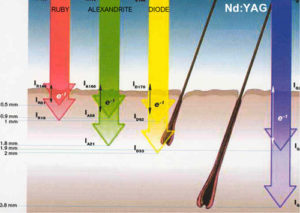 beauty box hair and beauty